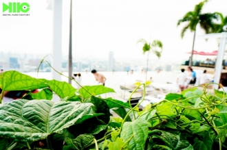 DMC Sai Gon - Marina Bay Sands - Singapore